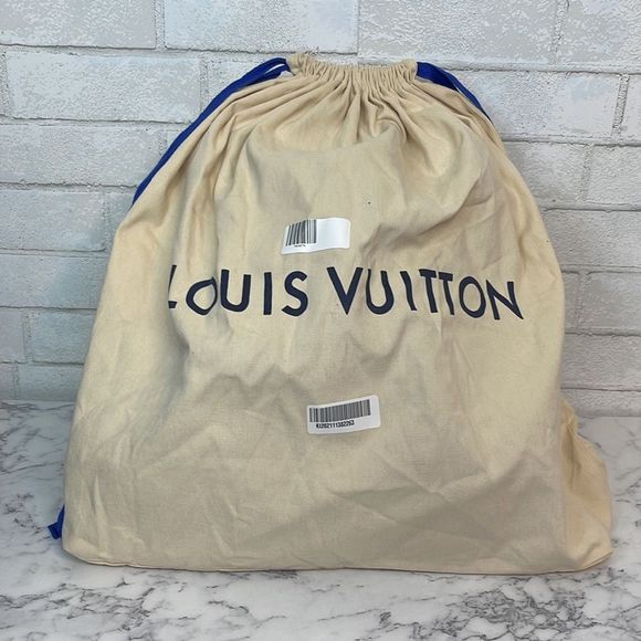 Louis Vuitton Palm Springs MM Monogram Backpack - Picture 13 of 13